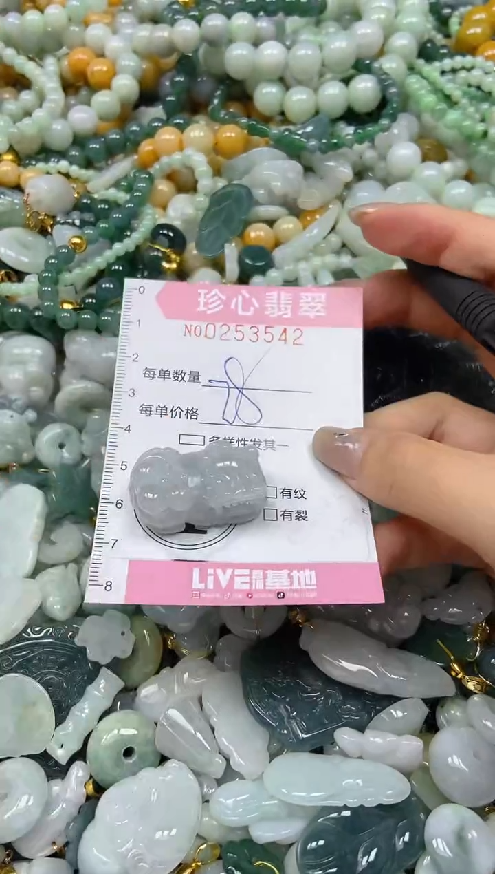 翡翠未镶嵌颈饰闪购0253542