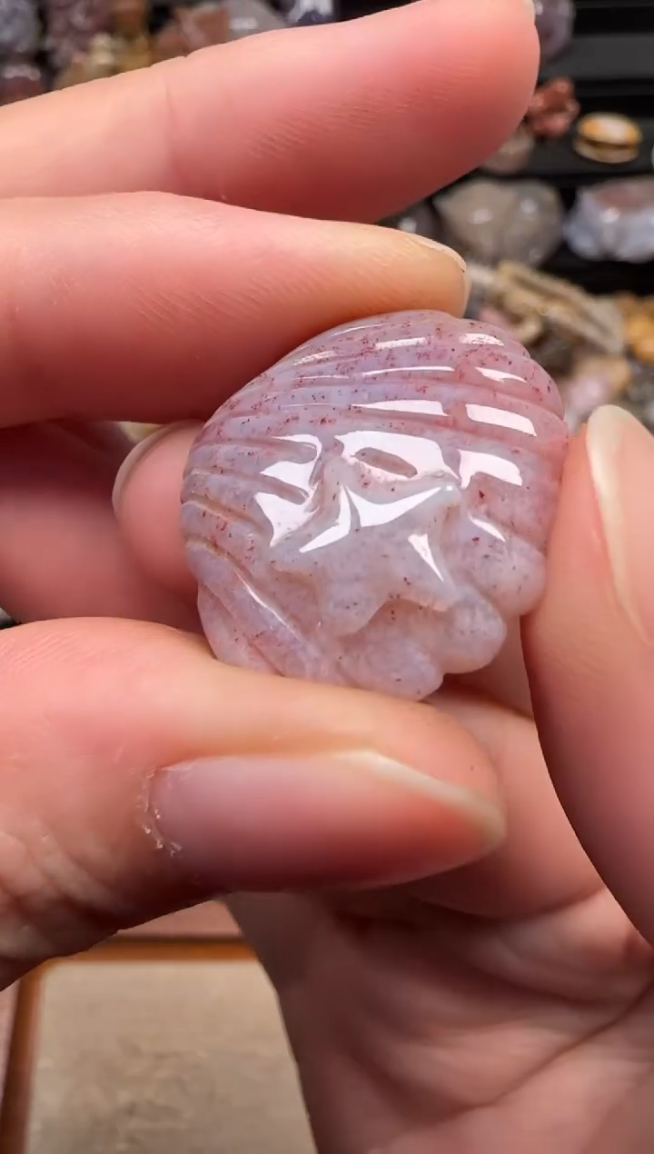 颈饰未镶嵌硅化珊瑚（珊瑚玉）609