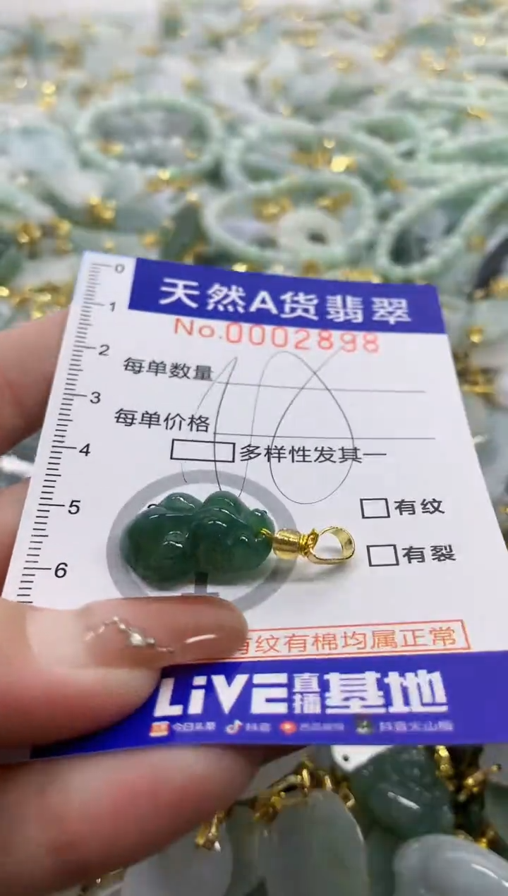 颈饰未镶嵌翡翠天然A货翡翠