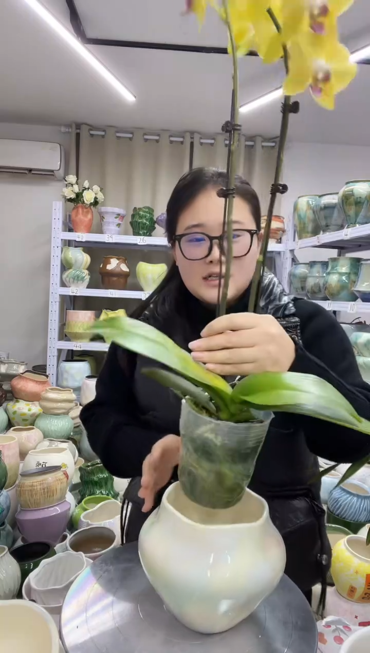 【11.23】直播链接  高度:  14  口径:   11