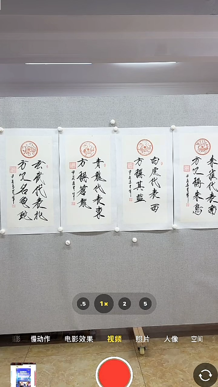 【闪购商品】书法-绘画-马贵军-2平尺书法一套