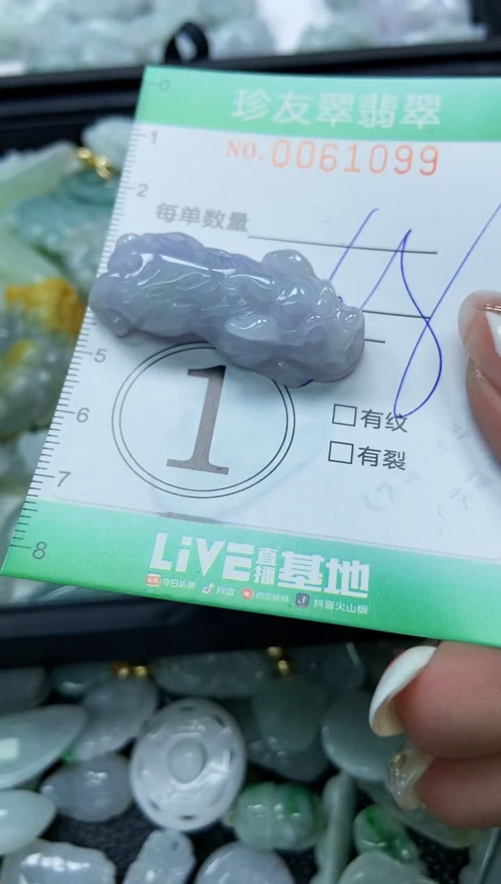 【闪购商品】翡翠颈饰未镶嵌闪购0061099