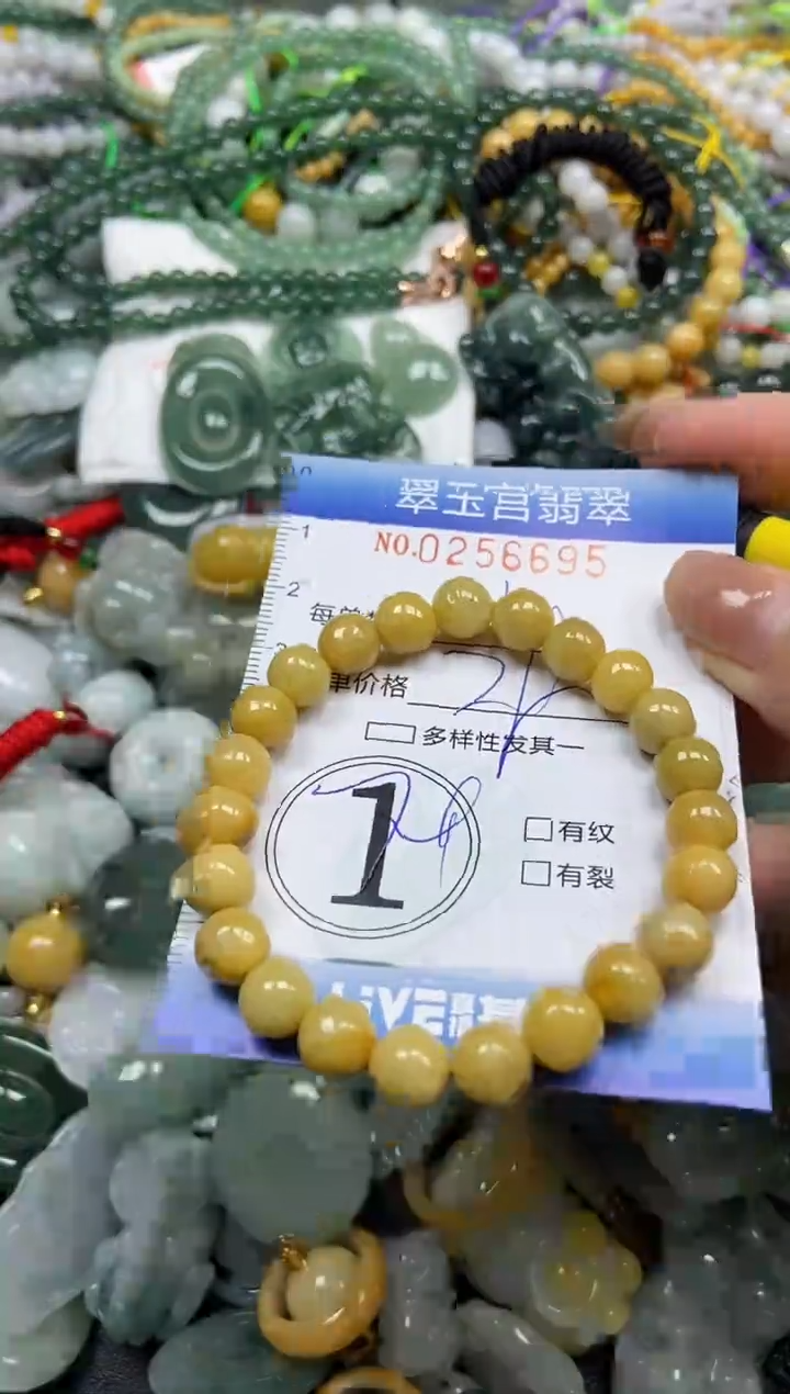 颈饰未镶嵌翡翠闪购C0256695