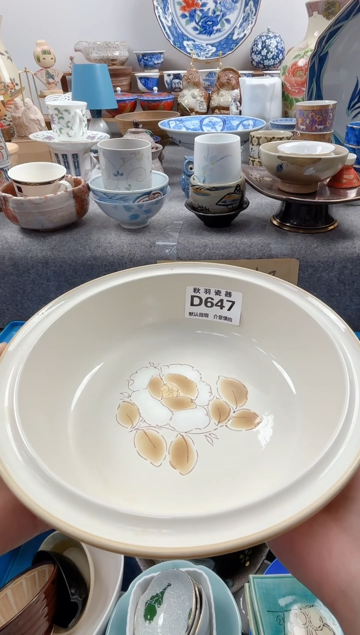 日式拾**己默认微瑕秋羽D647