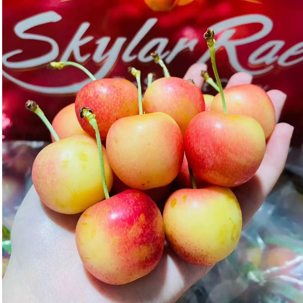 现货天空之城智利斯凯拉雷黄金车厘子4斤装2J-3J规格黄色樱桃