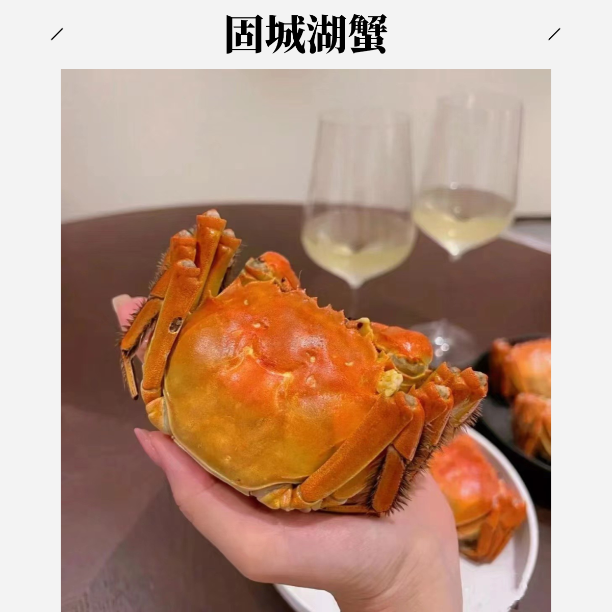 【固城湖大闸蟹】运输途中螃蟹吐水可能会有规格流失 母 一只2-3两 收到手请立刻检查存活 签收1小时后不包售后