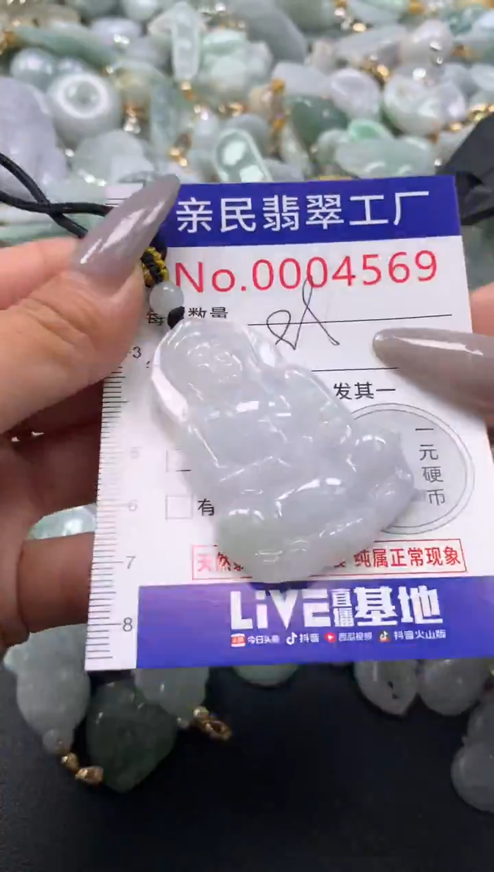 颈饰未镶嵌翡翠4569