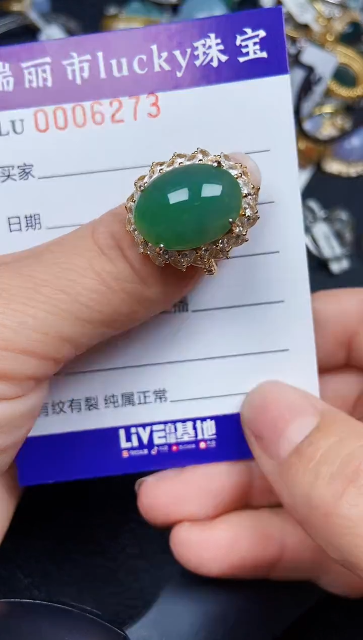 翡翠银S925镶嵌颈饰6273