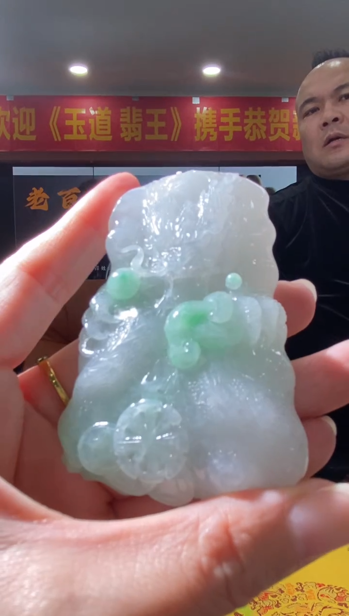 【闪购商品】翡翠颈饰未镶嵌B-@@BSGC012700157