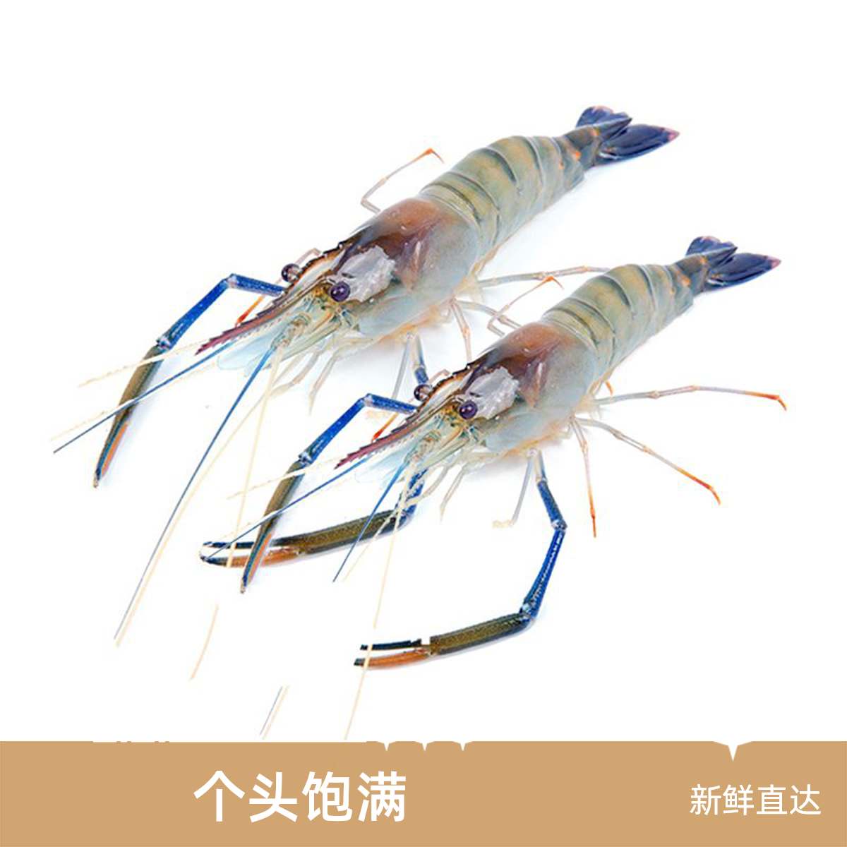 罗氏虾 500g/盒