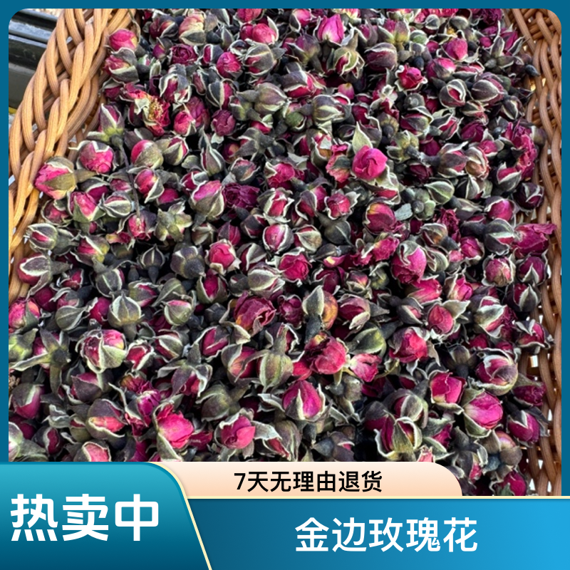 【金边玫瑰】云南金边玫瑰花 