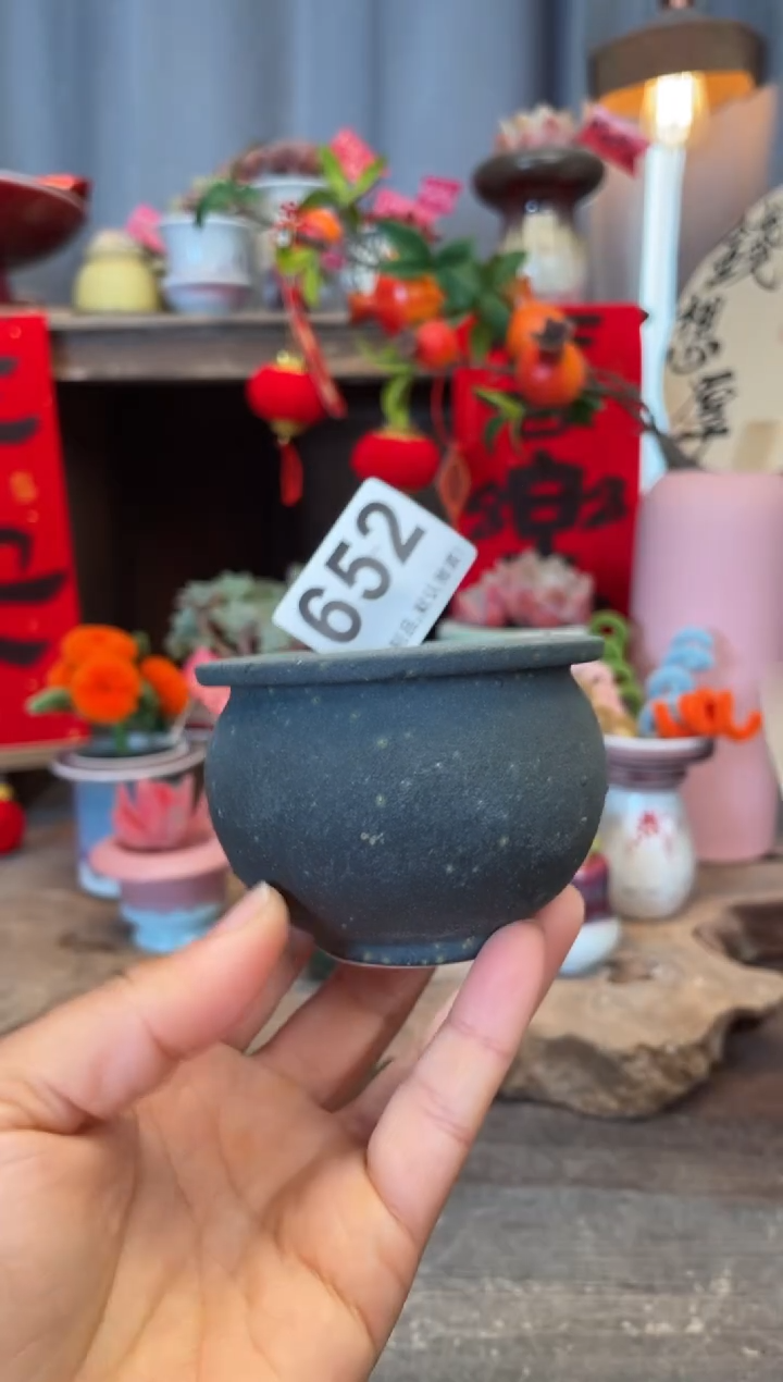 【闪购商品】摆件652知木小芳花盆
