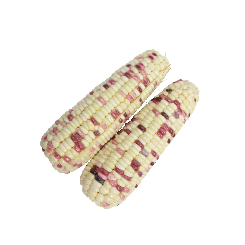 黏玉米450-500g