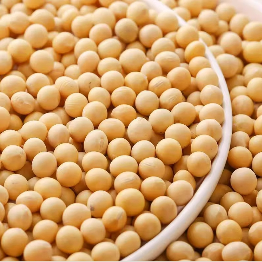 【红锦哥代收】农家本地小黄豆3斤