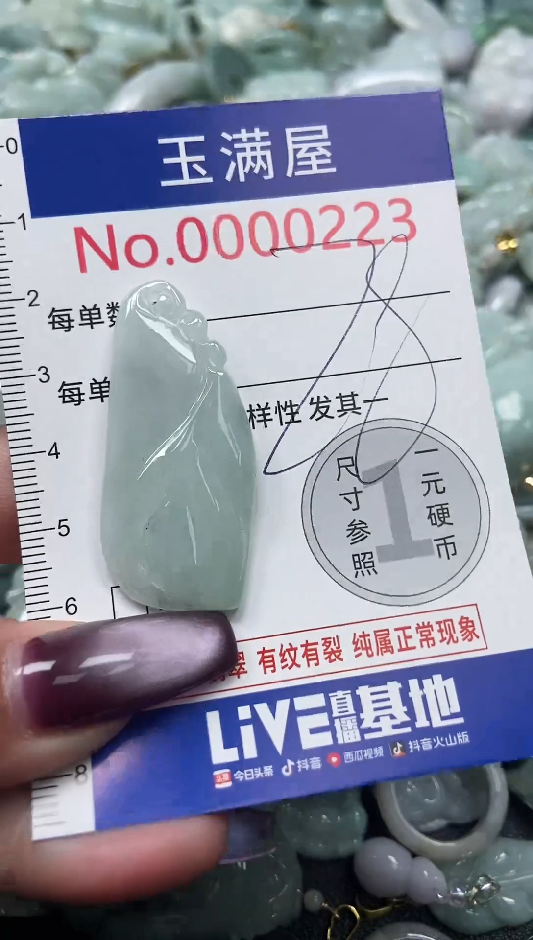 颈饰未镶嵌翡翠223