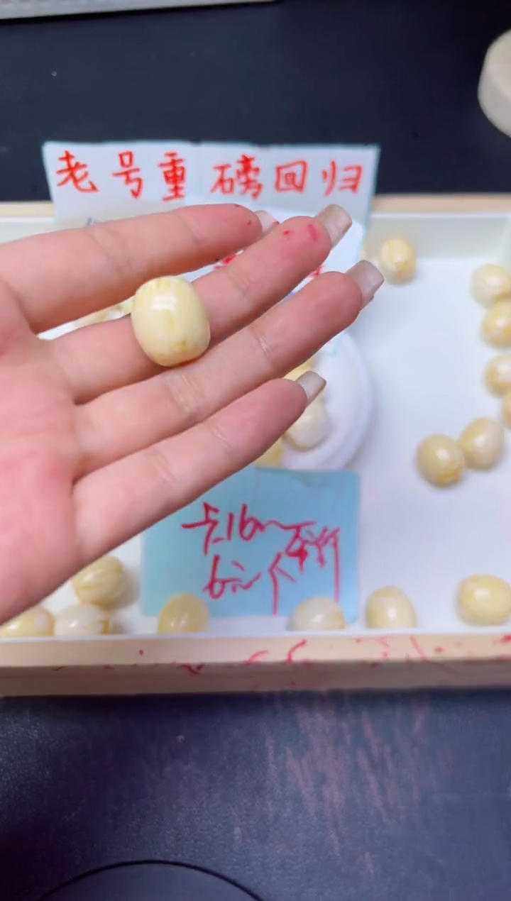 未镶嵌蜜蜡裸石骨瓷白枣珠694 卡16*18MM  * 3颗