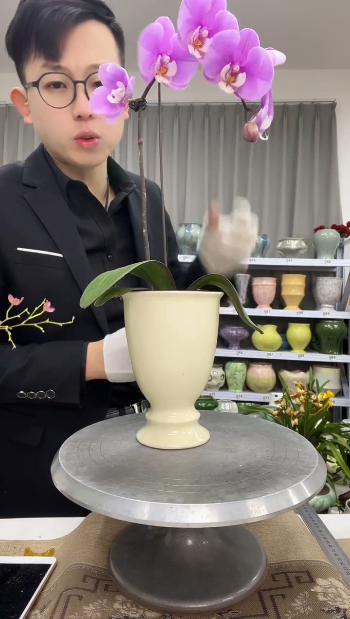 【1.3】花盆尺寸 高： 17 口：11