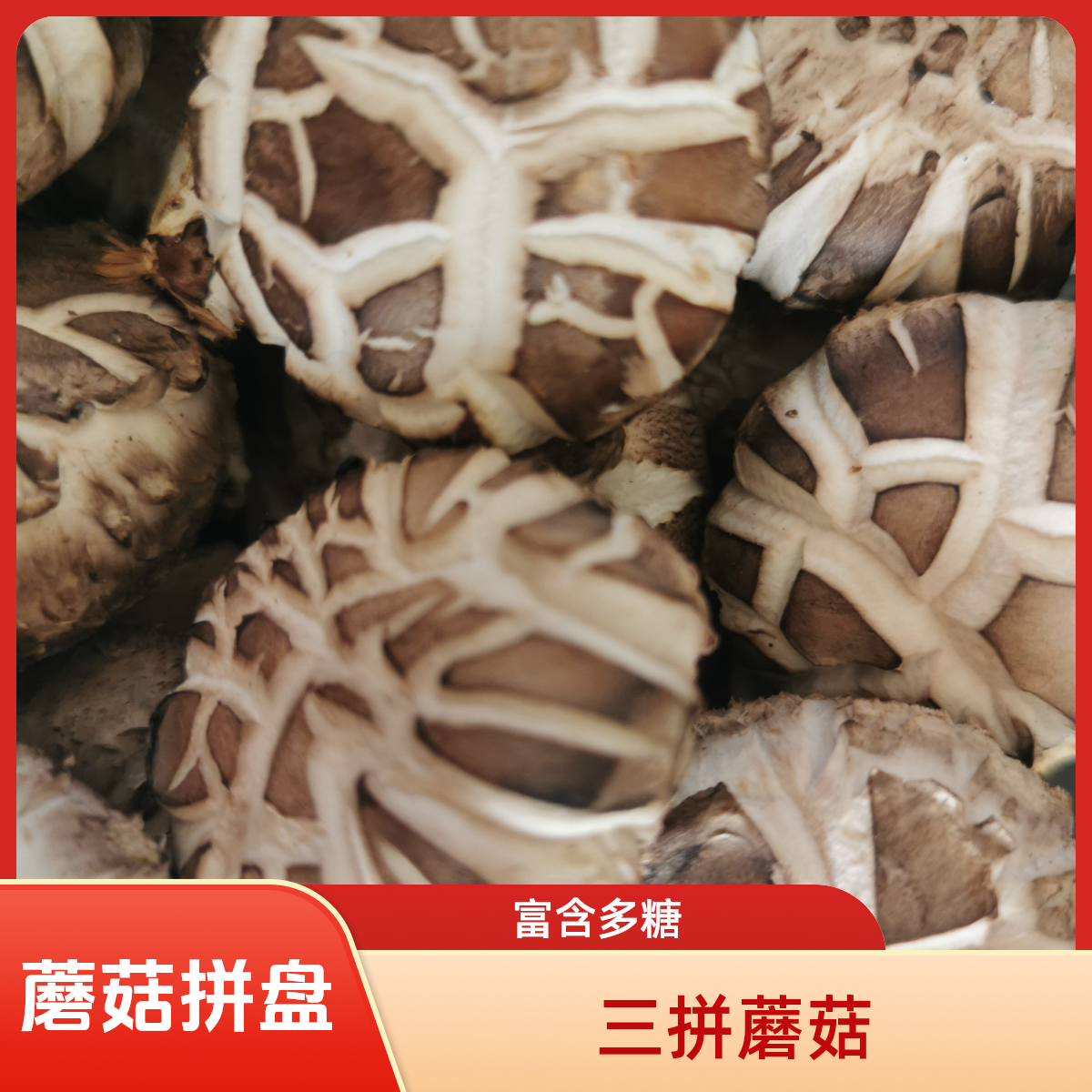 包邮|鲜品蘑菇三拼组合 总计1.5斤食用菌