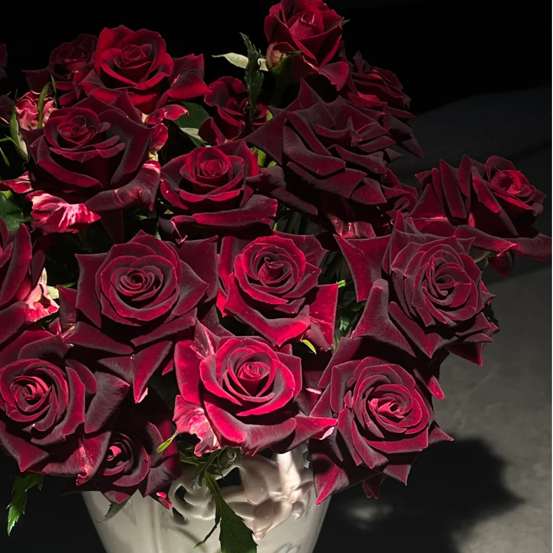 （蔓蔓）紫罗兰单头玫瑰15支+5支防损 1单包邮