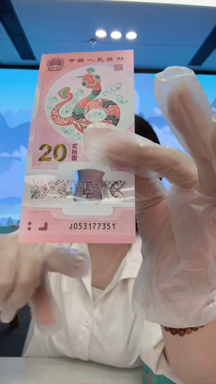 塑料蛇钞全奇数053177351  