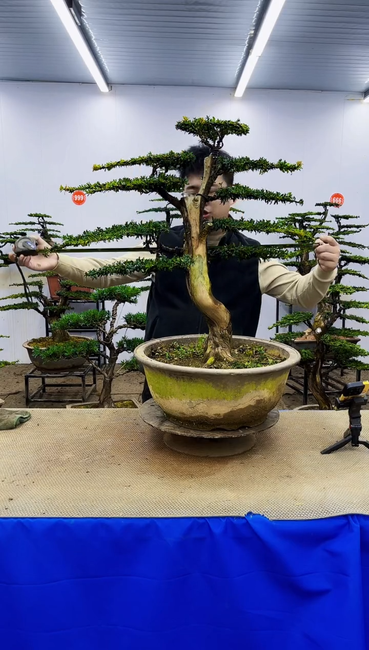 完全开放一物一拍，所见即所得