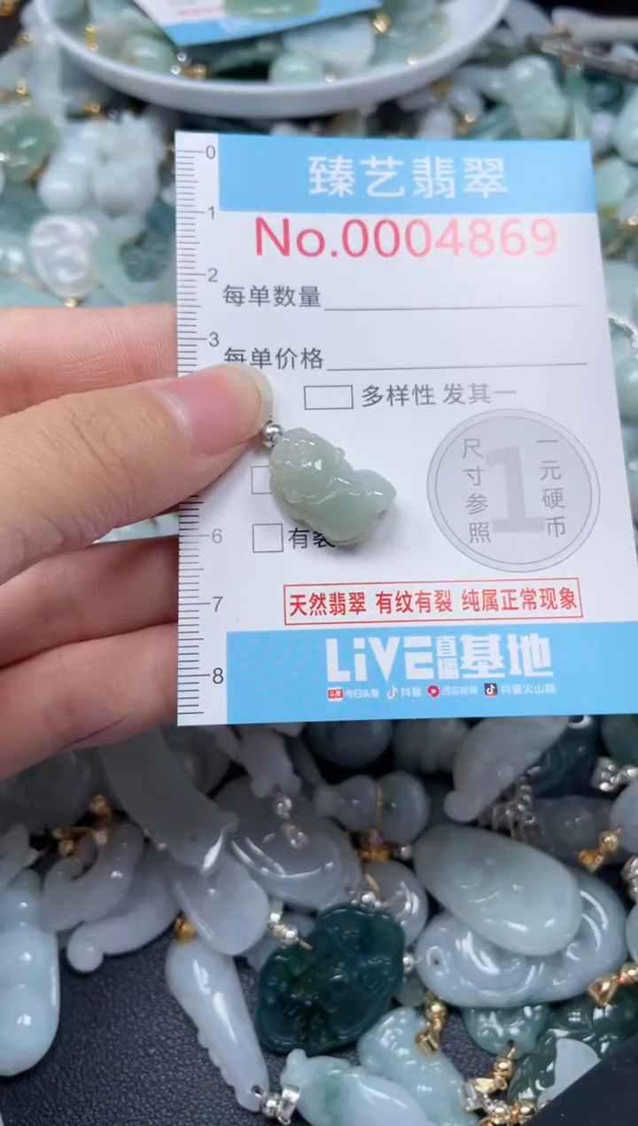 颈饰未镶嵌翡翠4869