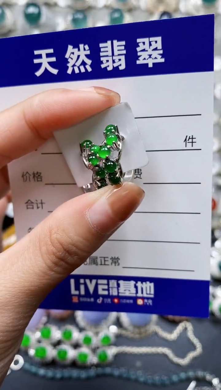 【闪购商品】翡翠耳饰银S925镶嵌0695