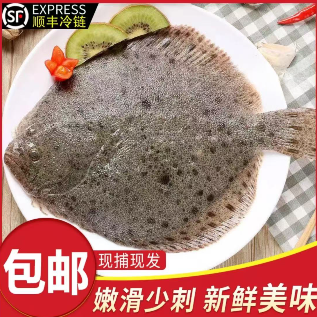 渔嫂海鲜 三去大号多宝鱼 新鲜速冻 500g左右/条 到手5条