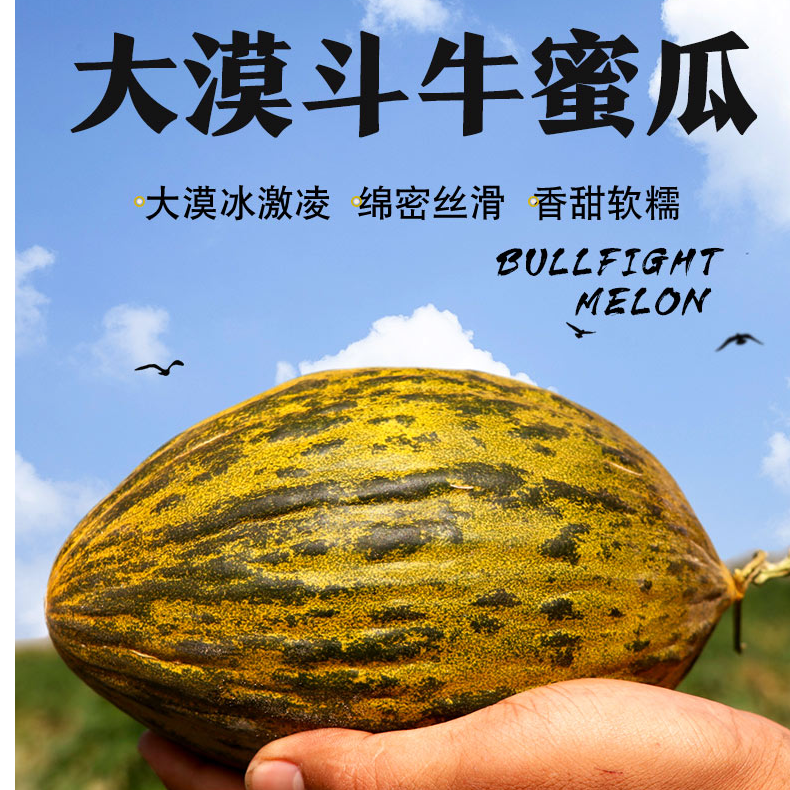 巴西斗牛蜜瓜净重6-7斤多规格