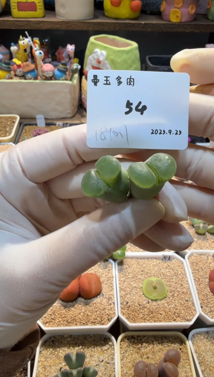 ?****?25.9.25-54萌萌是我呀