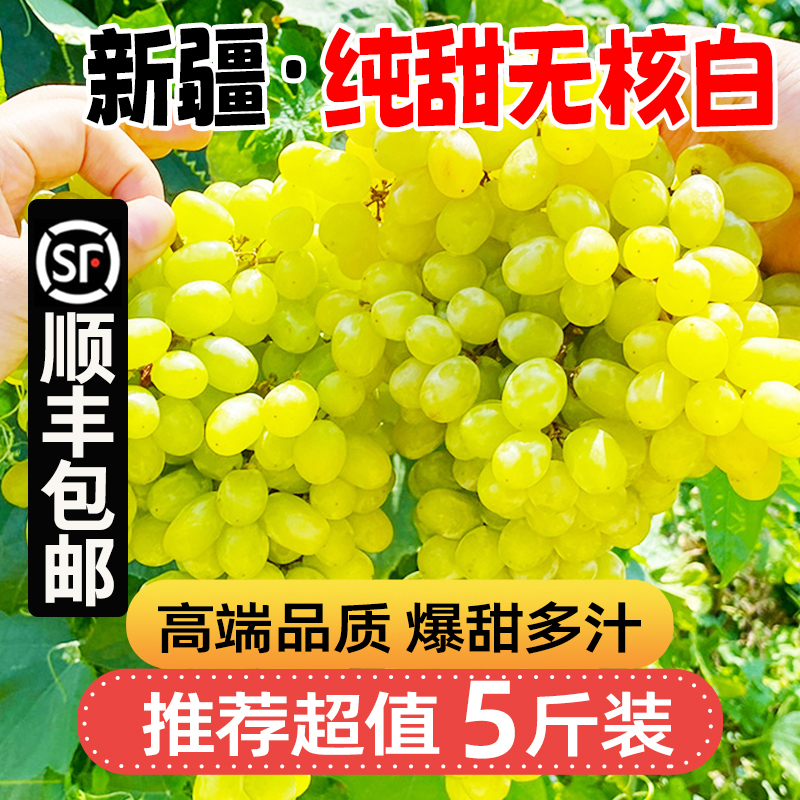 5斤更划算【顺丰包邮】LZ2新疆吐鲁番火焰山无核白小蜜蜂葡萄果半斤
