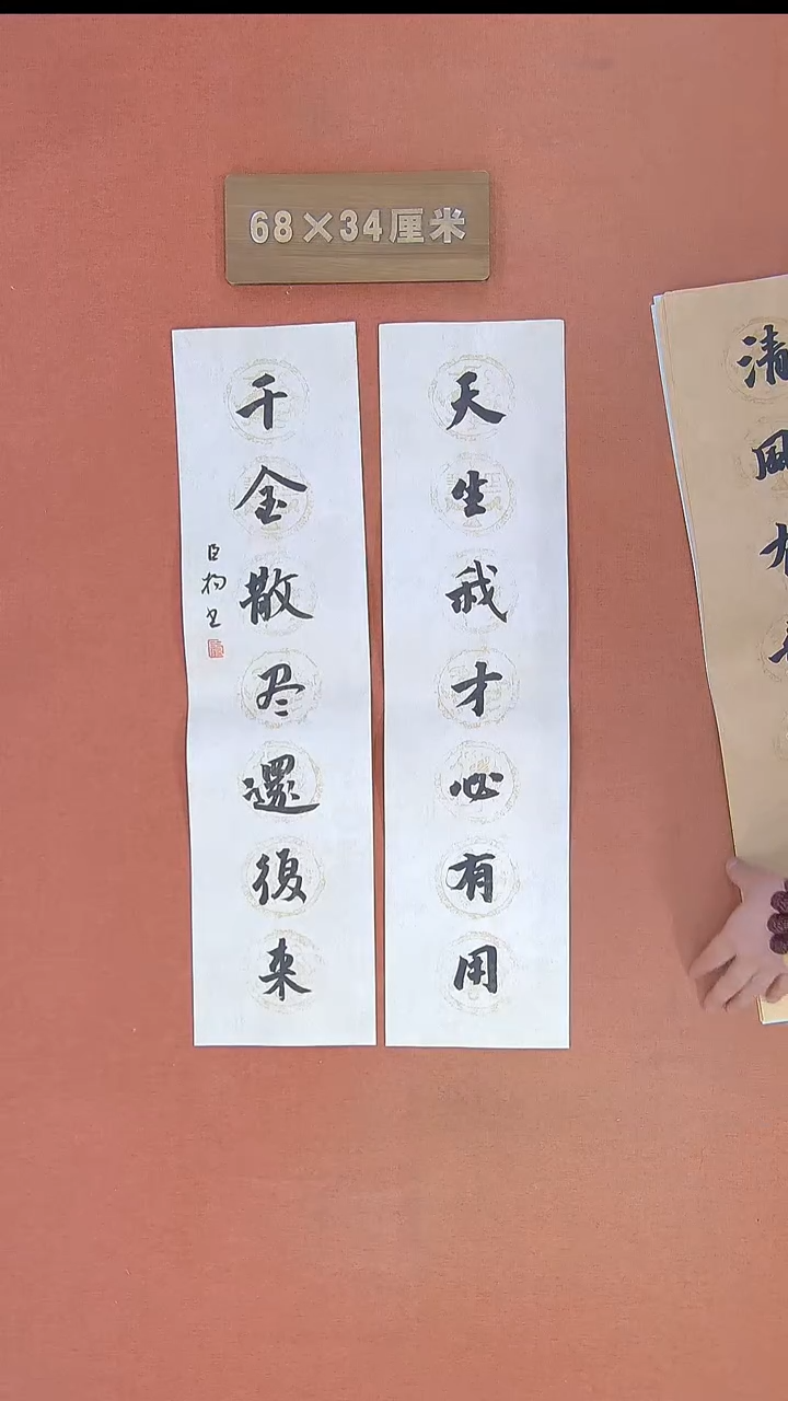 【闪购商品】书法111宋辰杨书法作品