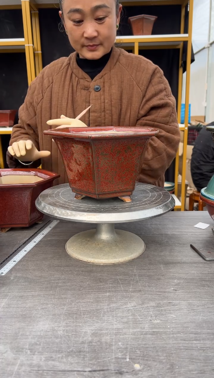 平*40号大瑕红色一盆