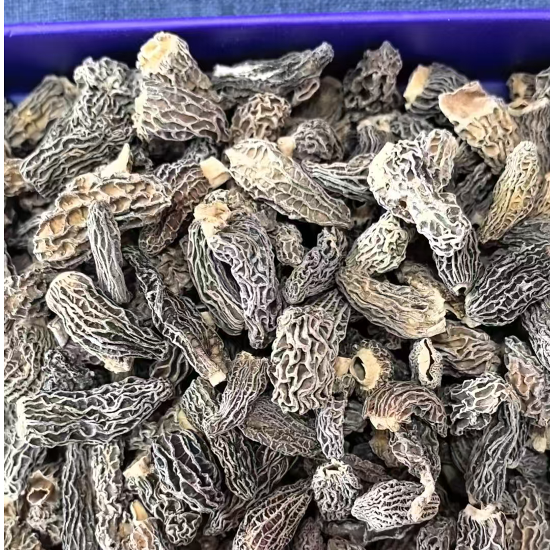 【肖婆专属】云南精选~品质羊肚菌