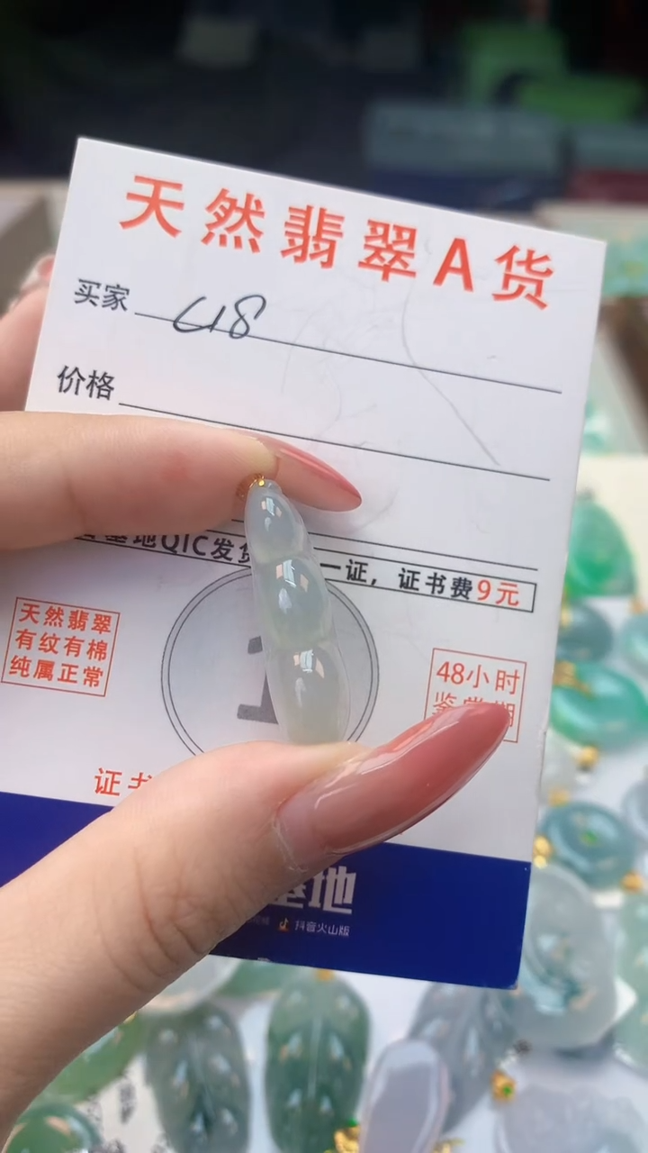 颈饰未镶嵌翡翠天然A货翡翠挂件