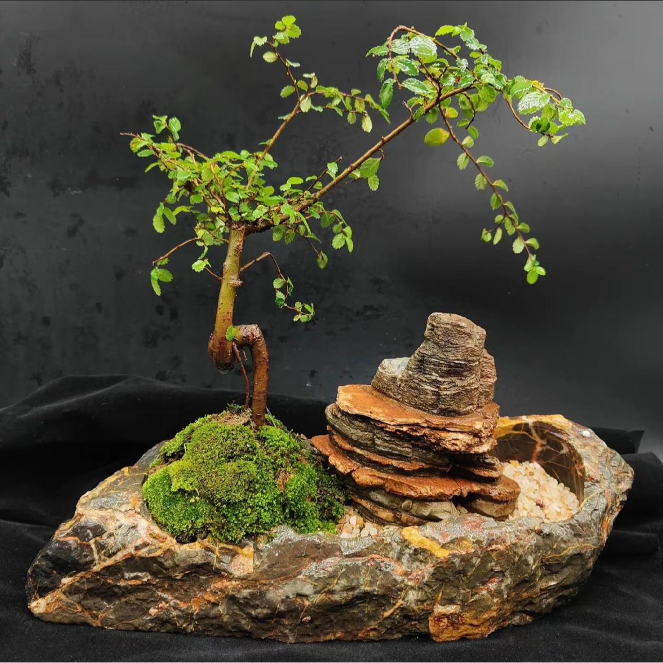精品灵璧石花盆（随机发）