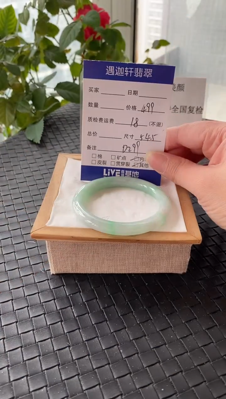 未镶嵌手镯翡翠54.5圈口 D299编码
