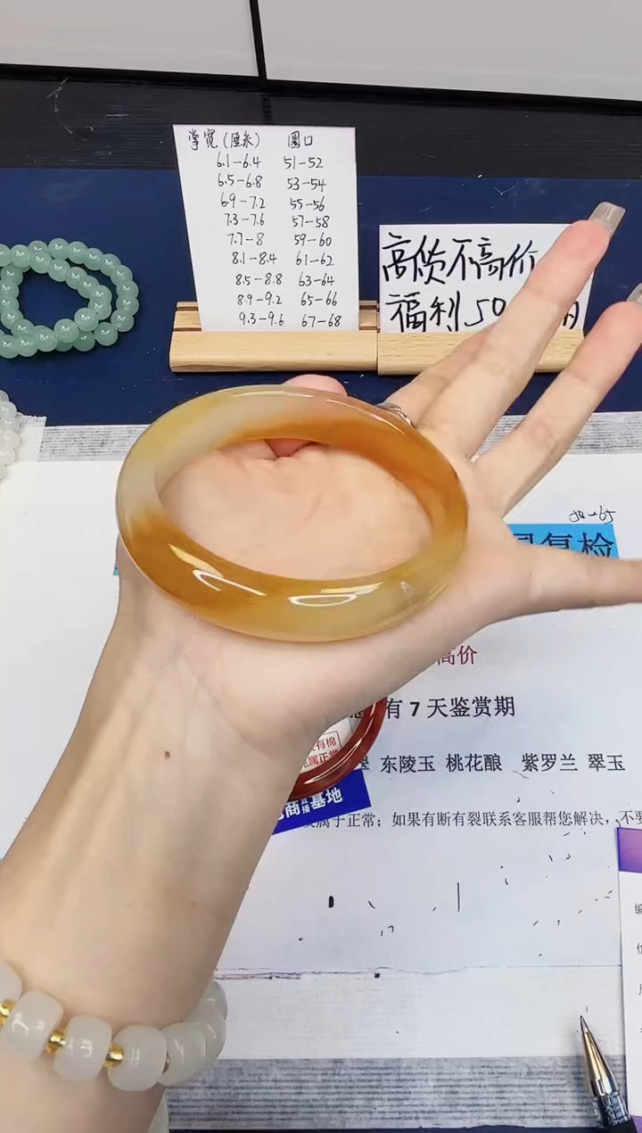 【闪购商品】石英质玉手镯未镶嵌146-财气镯-圈口63