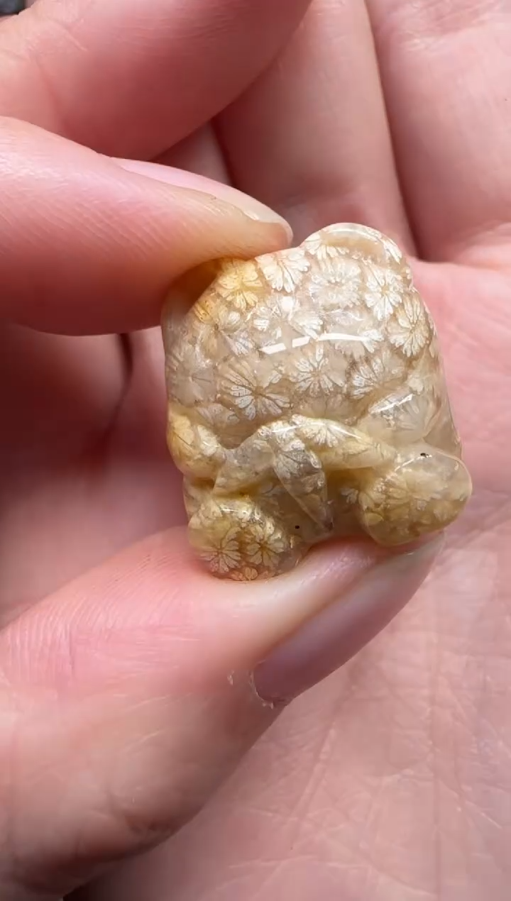 颈饰未镶嵌硅化珊瑚（珊瑚玉）383