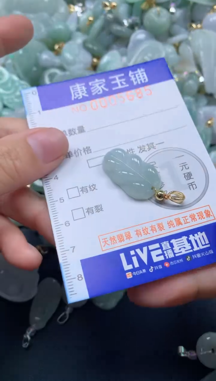 颈饰未镶嵌翡翠5685