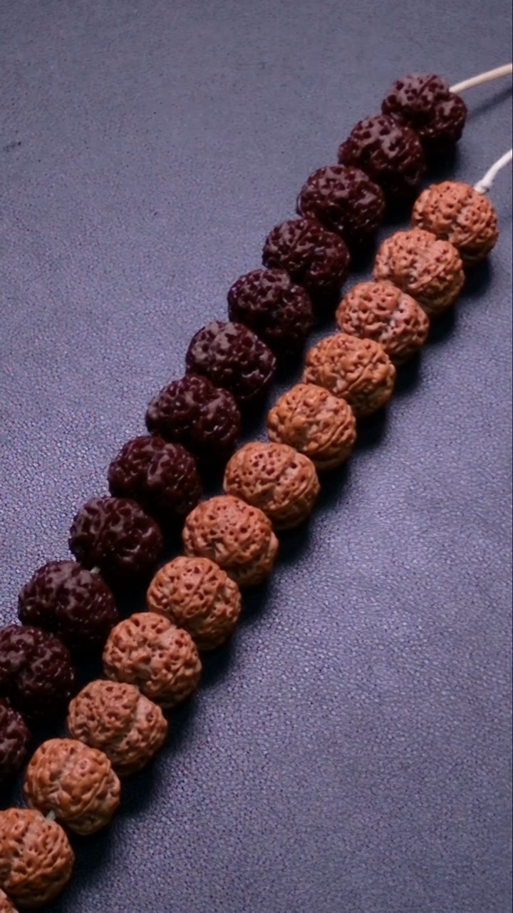 金刚菩提手串古龙梅花20-23