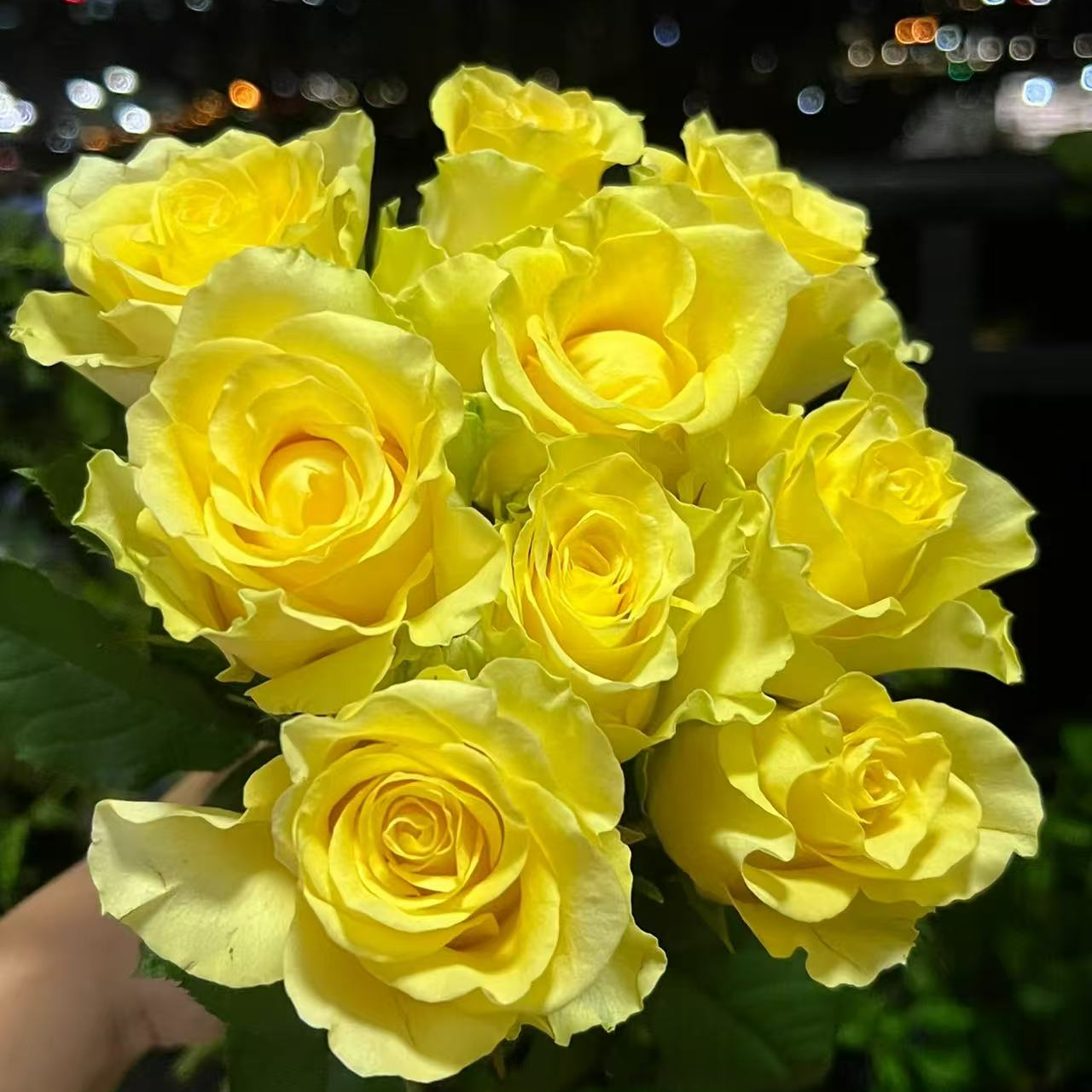 【浪漫沙滩 】云南鲜花基地直发同地址两单以上发顺丰或德邦+送配草