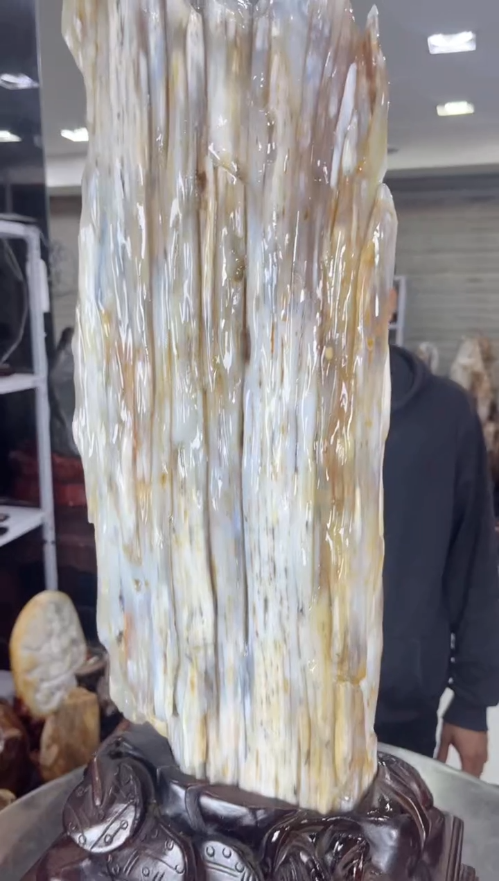 【闪购商品】硅化玉珠宝奇石未镶嵌缅甸天然树化玉