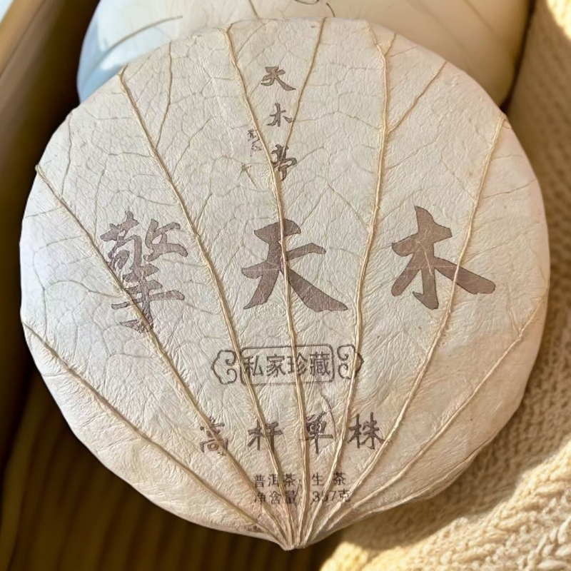 【高奢私藏】2025年“擎天木”-高杆单株古树普洱茶