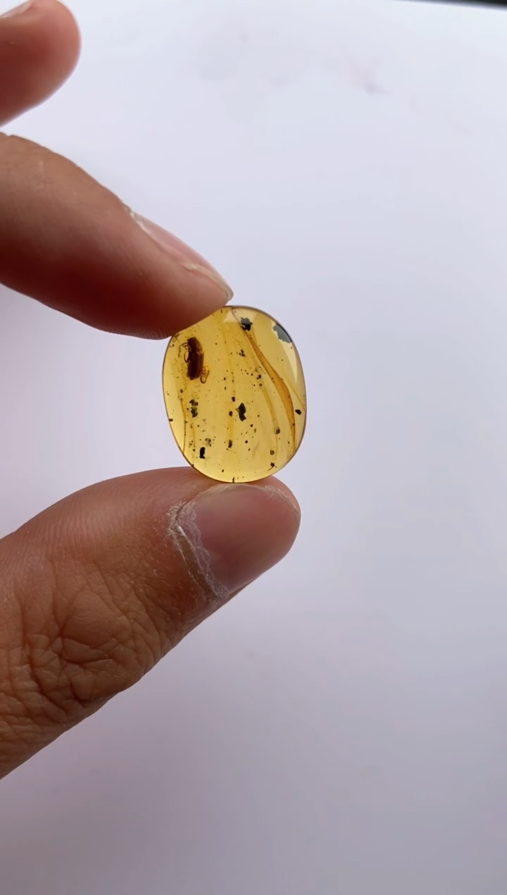 【闪购商品】琥珀颈饰未镶嵌虫珀