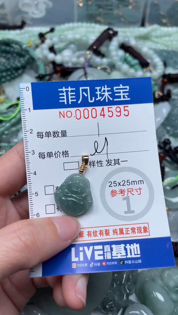 【闪购商品】翡翠颈饰未镶嵌00..00..4595