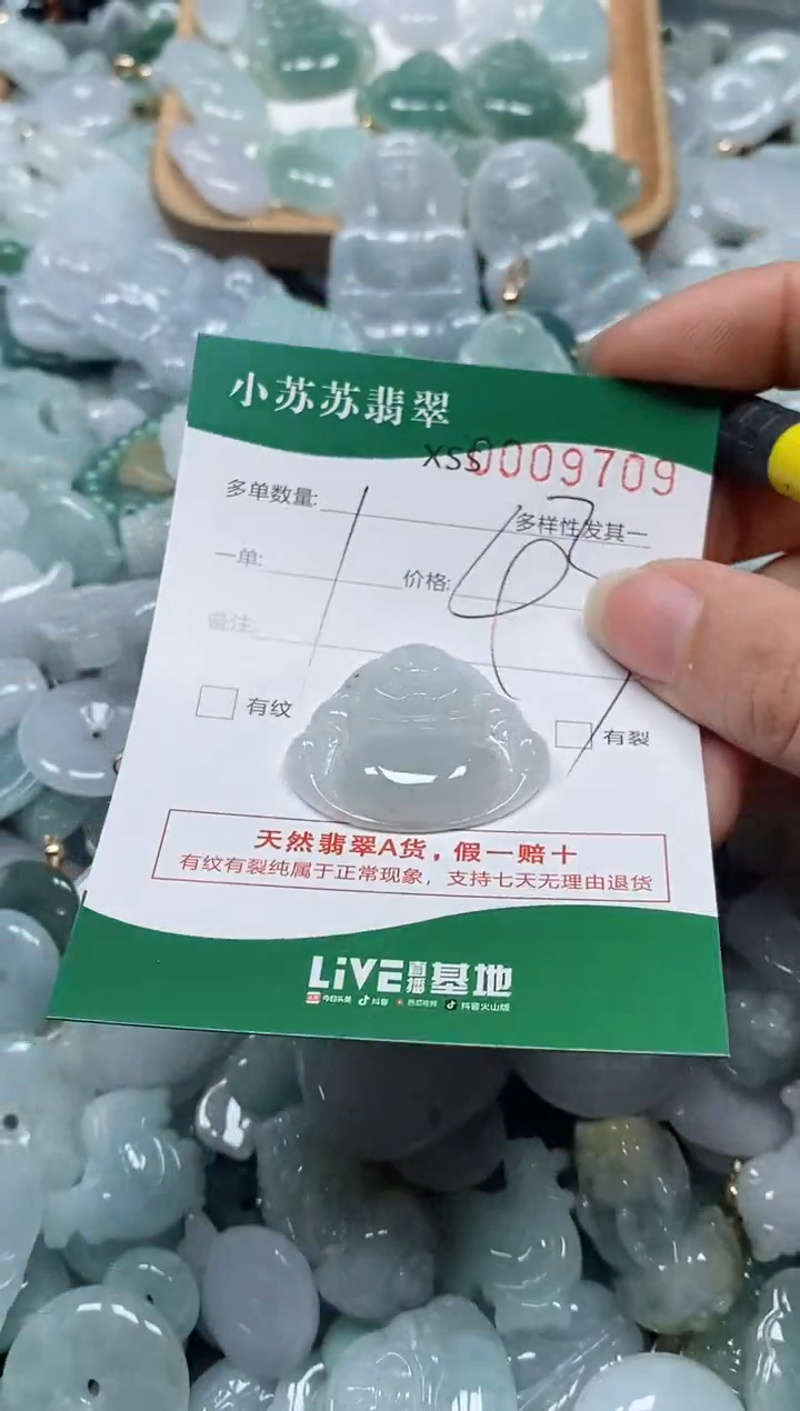 【闪购商品】翡翠颈饰未镶嵌闪购商品0009709