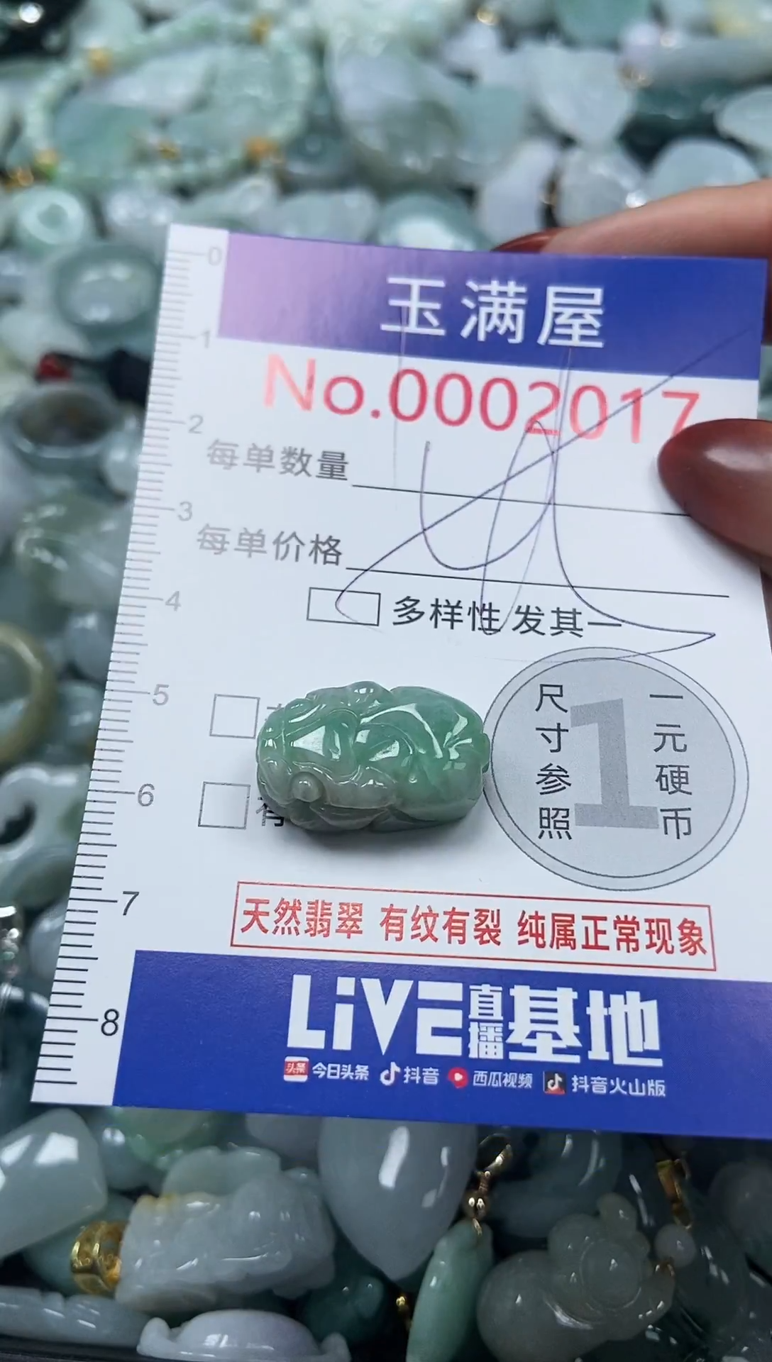 颈饰未镶嵌翡翠2017