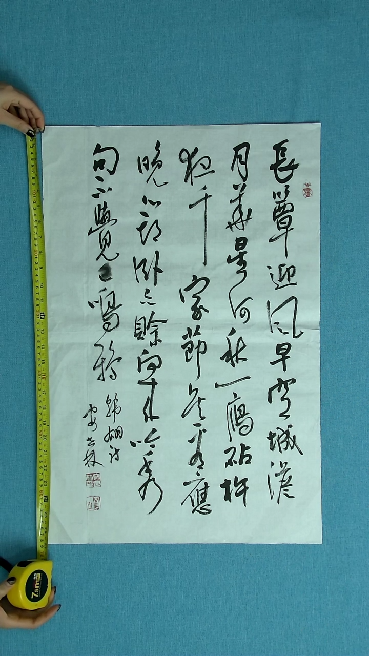 【闪购商品】书法173 甘肃安石林中书协69*46