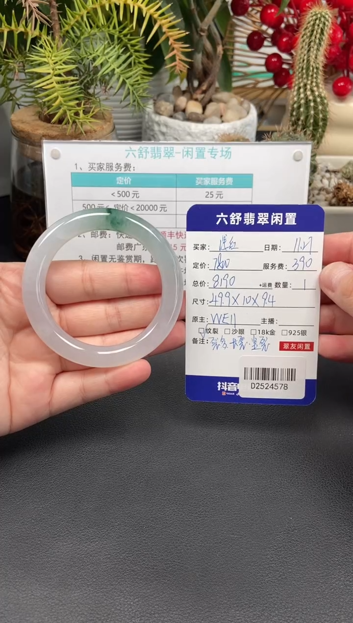 未镶嵌手镯翡翠浅***子D2524578